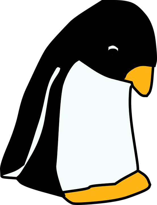 Sad penguin